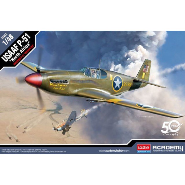 USAAF P-51 "North Africa"