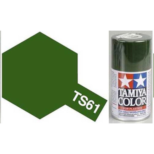 TS-61 NATO Green - Matt - Synthetic Lacquer Paint