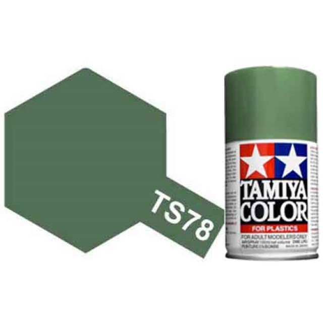 TS-78 Field Grey - Matt - Synthetic Lacquer Paint