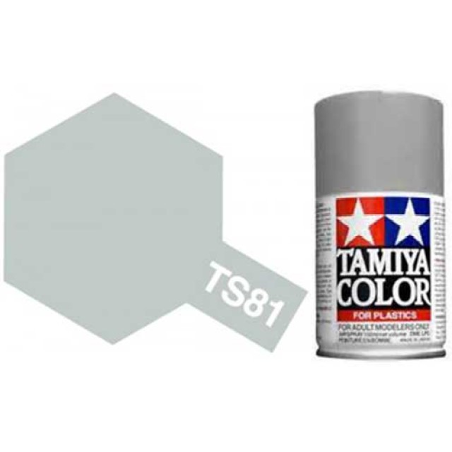 TS-81 Royal Light Grey - Matt - Synthetic Lacquer Paint